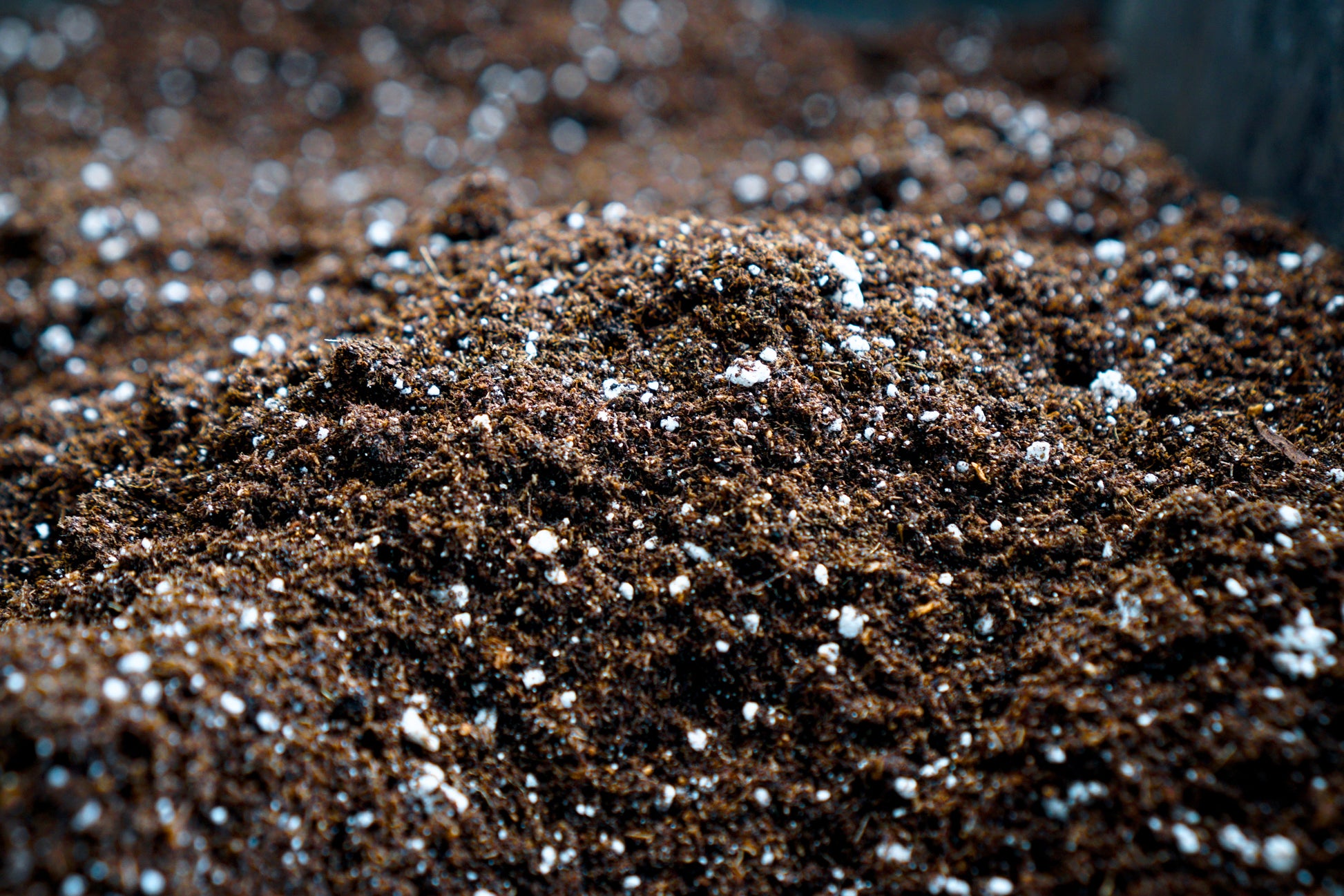 Seed Starter Potting Mix - Tampa Home & Garden Store