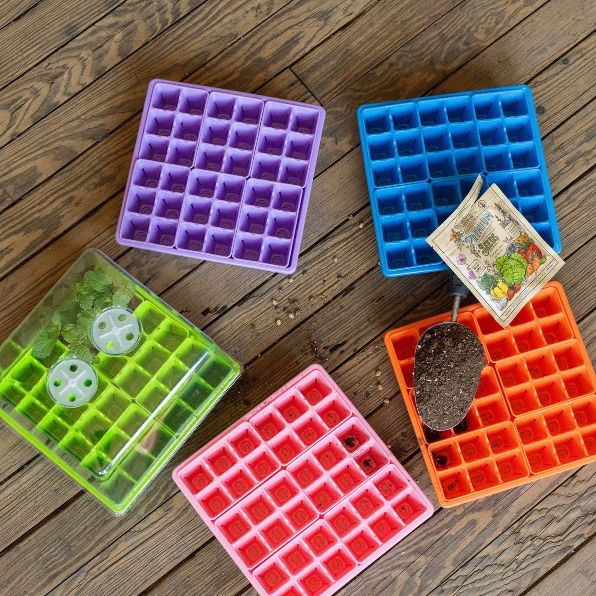 Seed Starting Workshop Bundle - Tampa Home & Garden Store