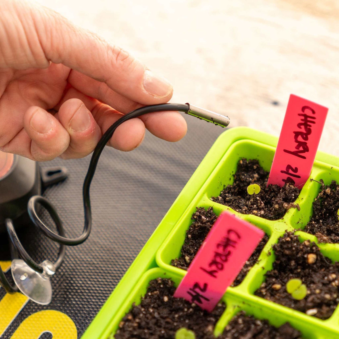 Seedling Heat Mat Temperature Controller - Tampa Home & Garden Store