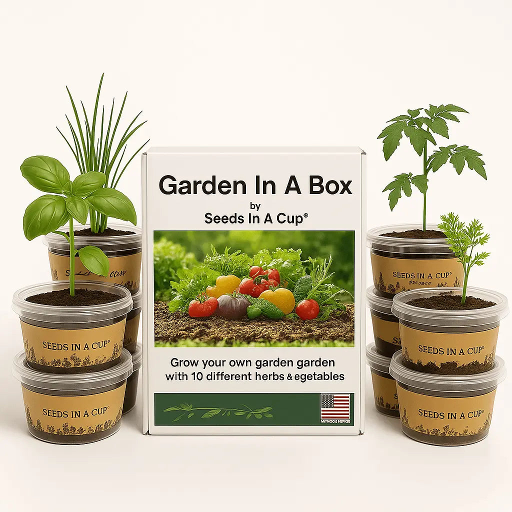 Seeds In A Cup®: Entire Garden in a Box- Choose 5 Pack! - Tampa Home & Garden Store