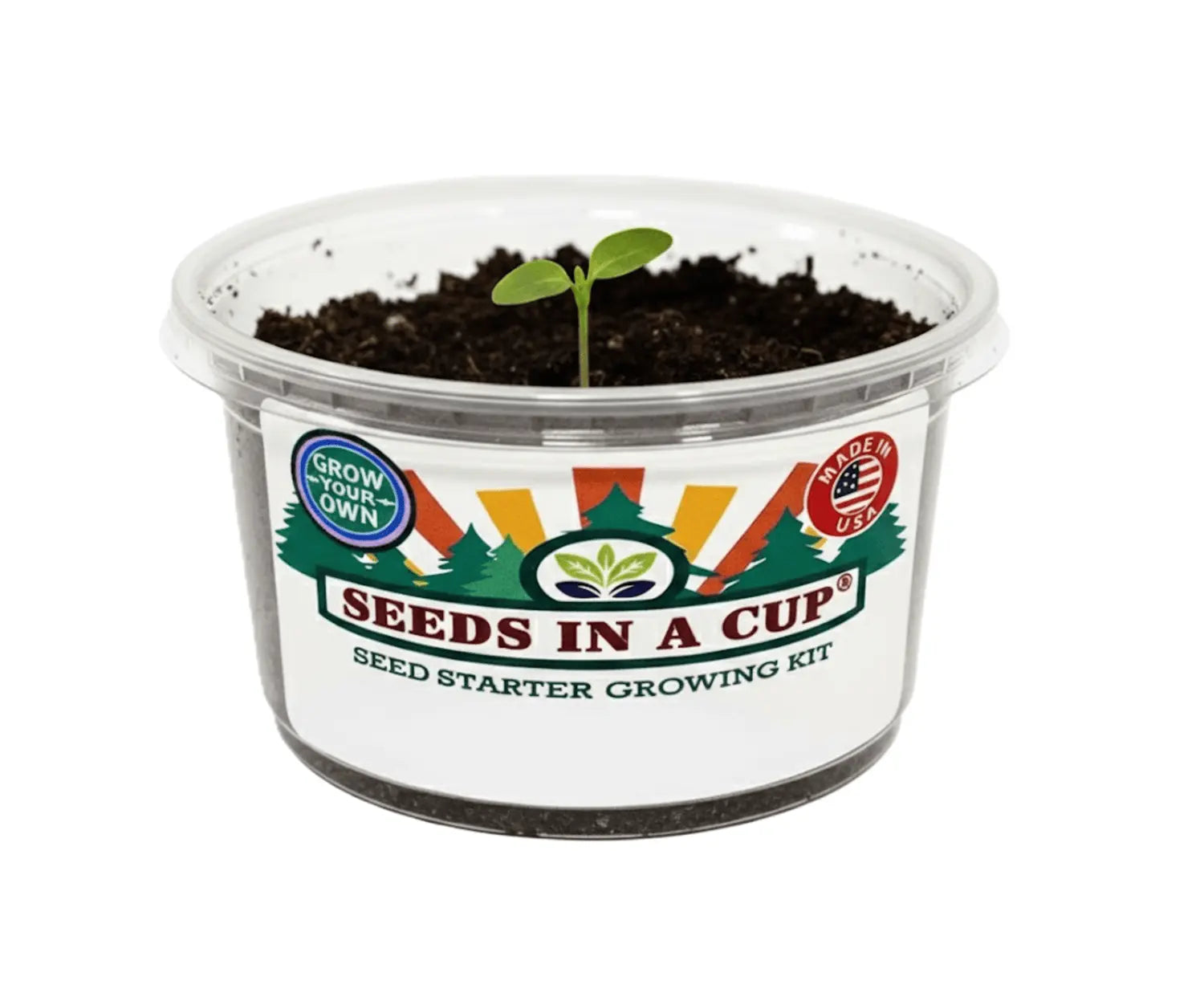 Seeds In A Cup®: Entire Garden in a Box- Choose 5 Pack! - Tampa Home & Garden Store