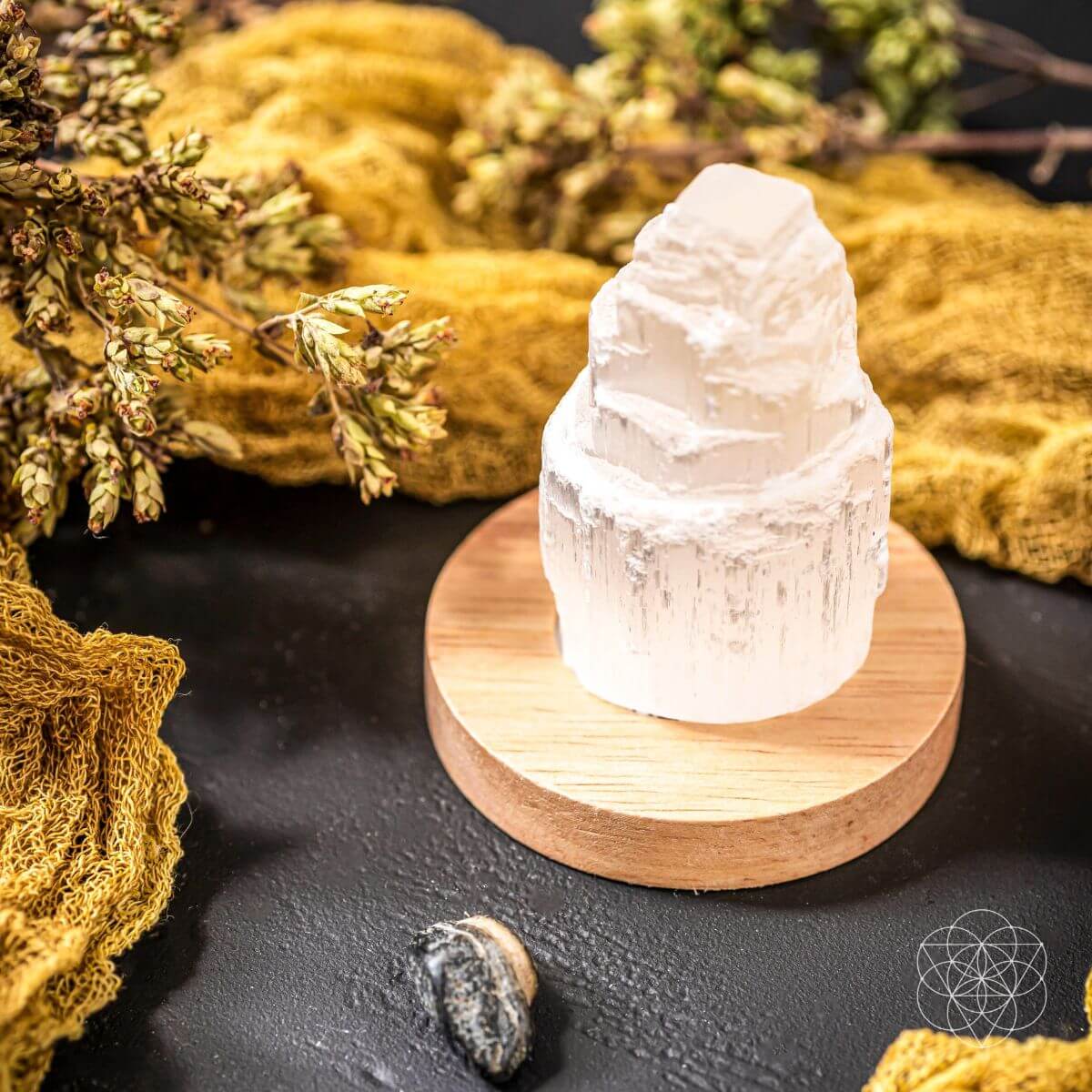Selenite Cleansing Lamp - Tampa Home & Garden Store