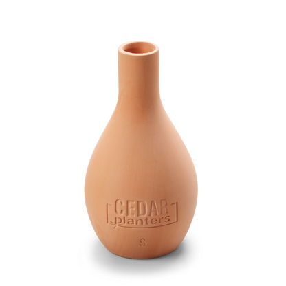 Self-Watering Clay Olla Pot - Tampa Home & Garden Store