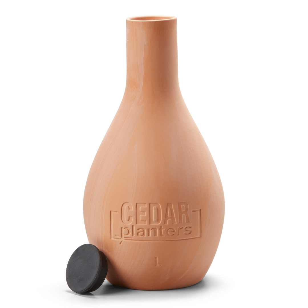 Self-Watering Clay Olla Pot - Tampa Home & Garden Store