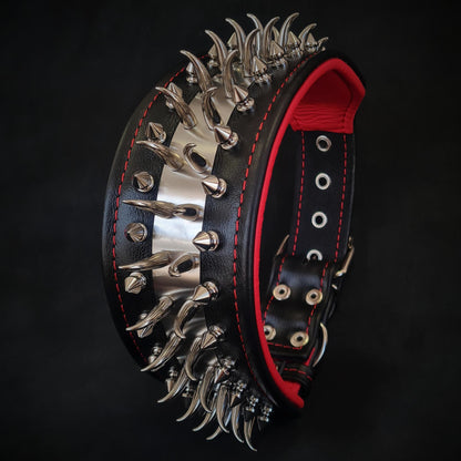 Set collar and leash. spikes & stainless steel, 2.8 inch wide. Made in Europe! - Tampa Home & Garden Store