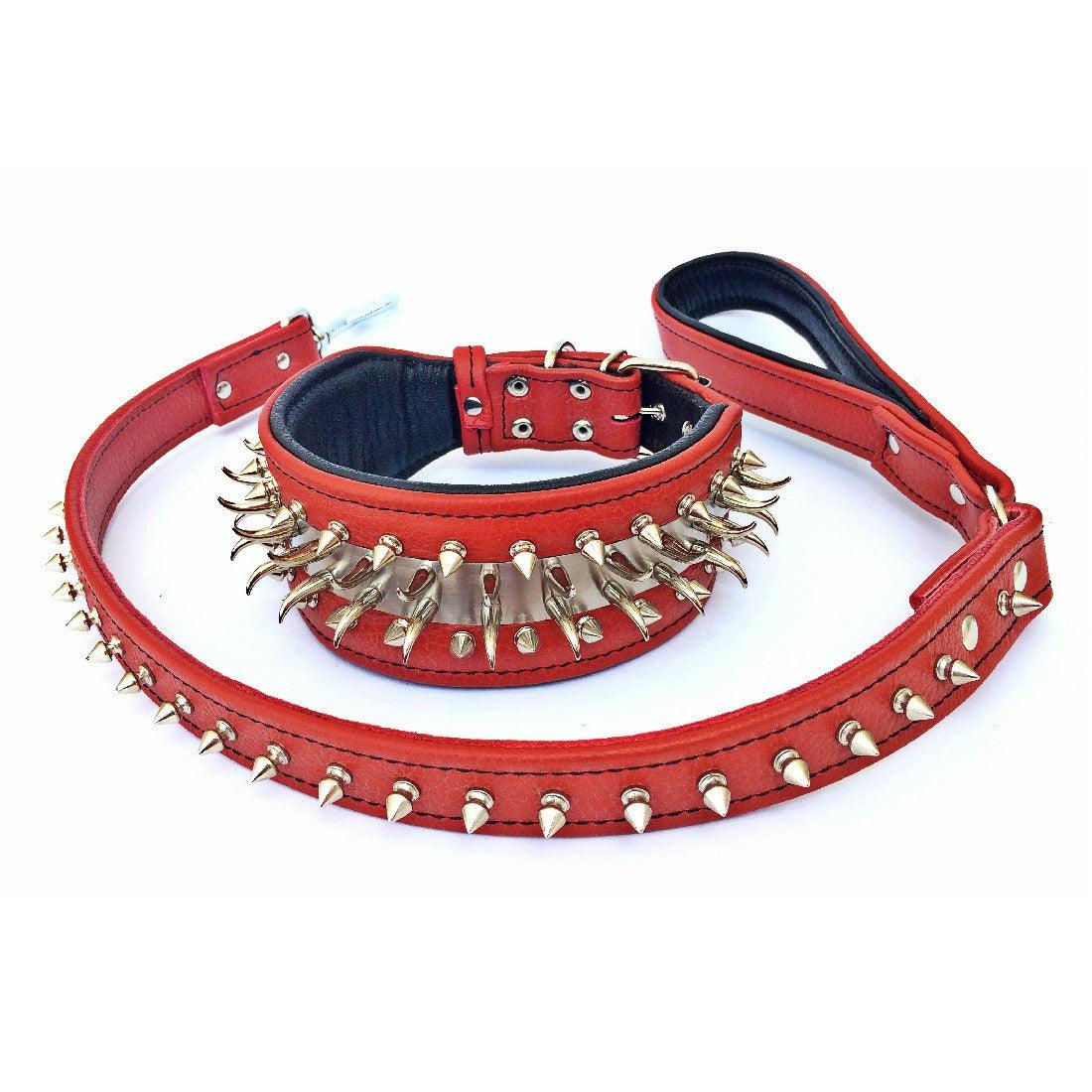 Set collar and leash. spikes & stainless steel, 2.8 inch wide. Made in Europe! - Tampa Home & Garden Store