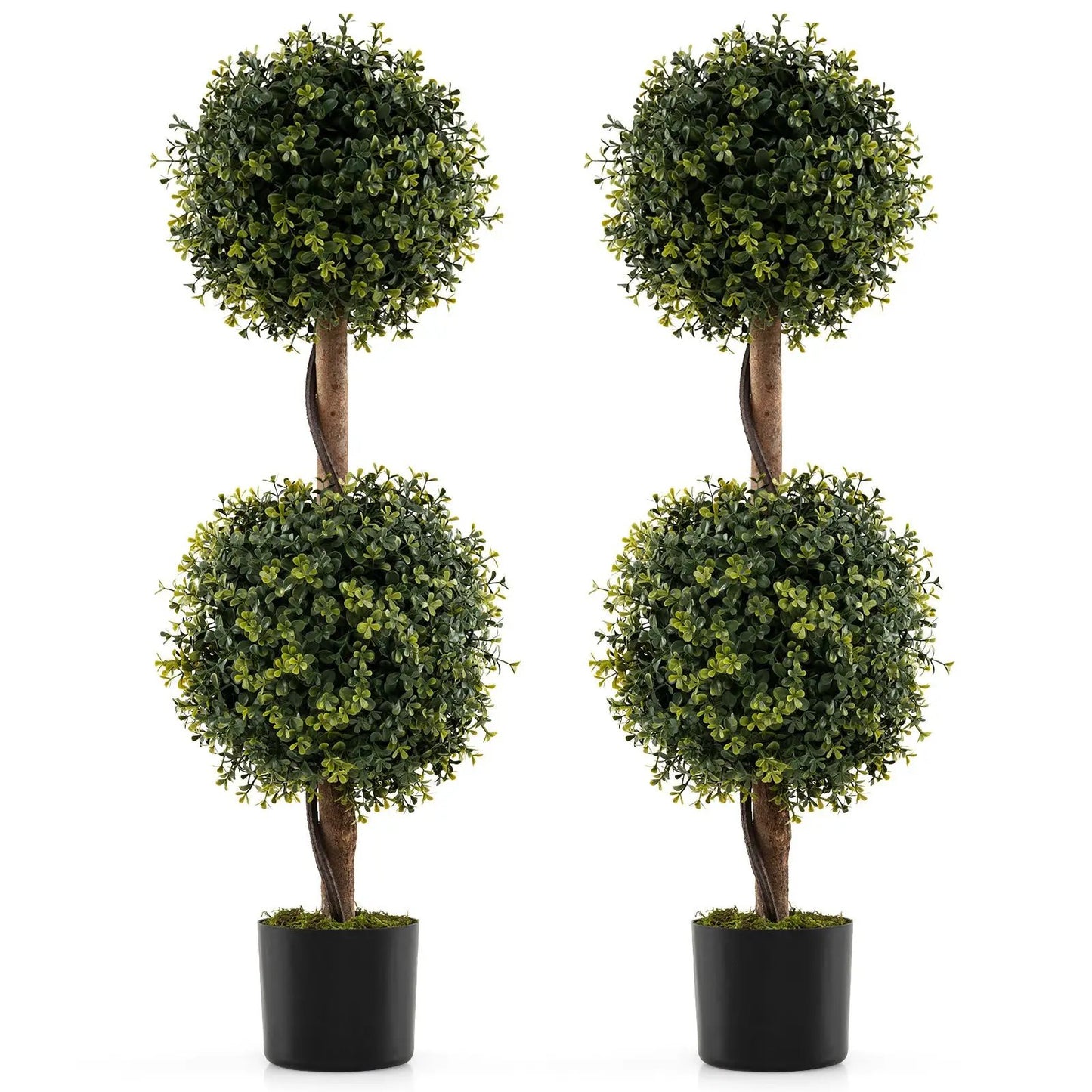 - image on Tampa Home & Garden Store