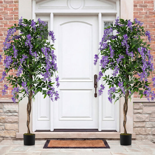 Set of 2 Fake Ficus Plant 6 FT Artificial Wisteria Tree with Natural Trunks and Purple Lifelike Flowers - Tampa Home & Garden Store