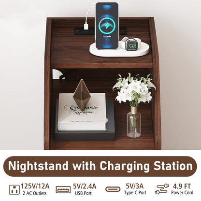 Set of 2 Side End Tables with Charging Station Sofa Couch Tables with Shelf Drawers - Tampa Home & Garden Store
