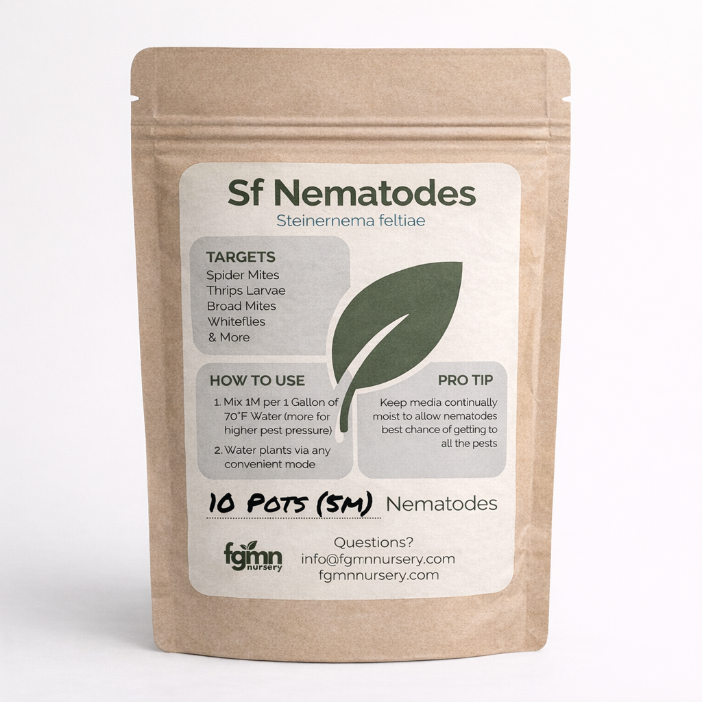 Sf Nematodes - Fungus Gnat Exterminators - Tampa Home & Garden Store