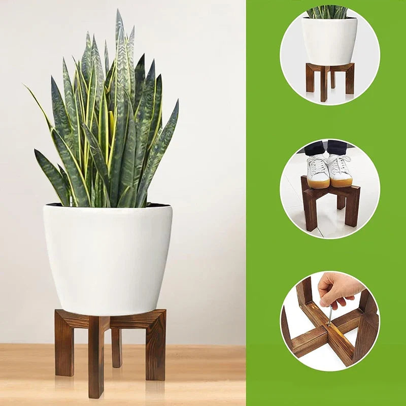 Sturdy Wooden Rack And A Solid Bonsai Plant Shelf