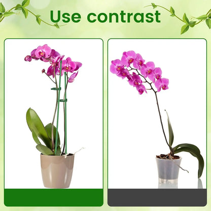 Adjustable Plant Support Bracket and Clip Holder