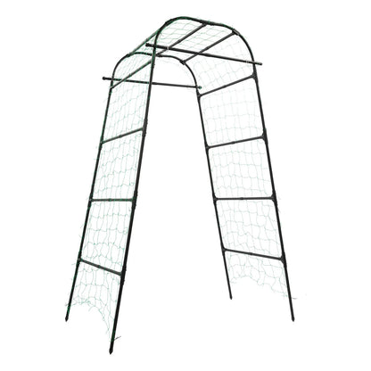 Steel Garden Arch and Climbing Plant Trellis