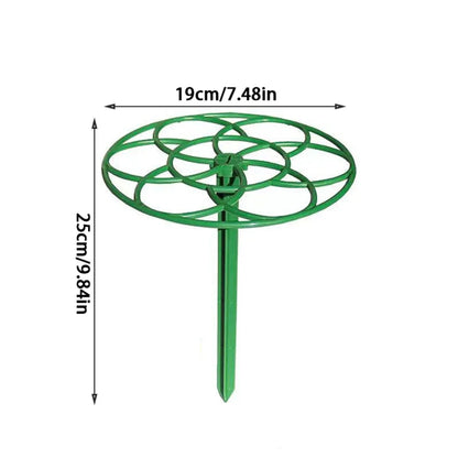 Plastic Bonsai Frame and Garden Vine Plant Stand
