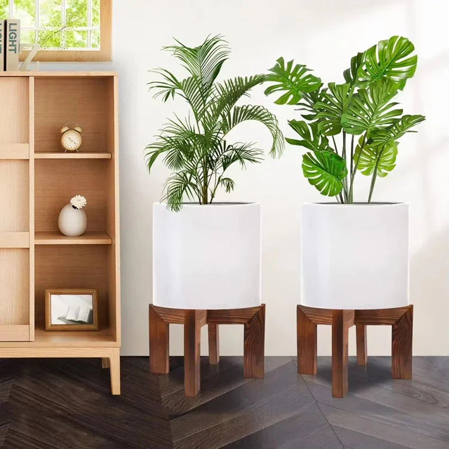 Sturdy Wooden Rack And A Solid Bonsai Plant Shelf