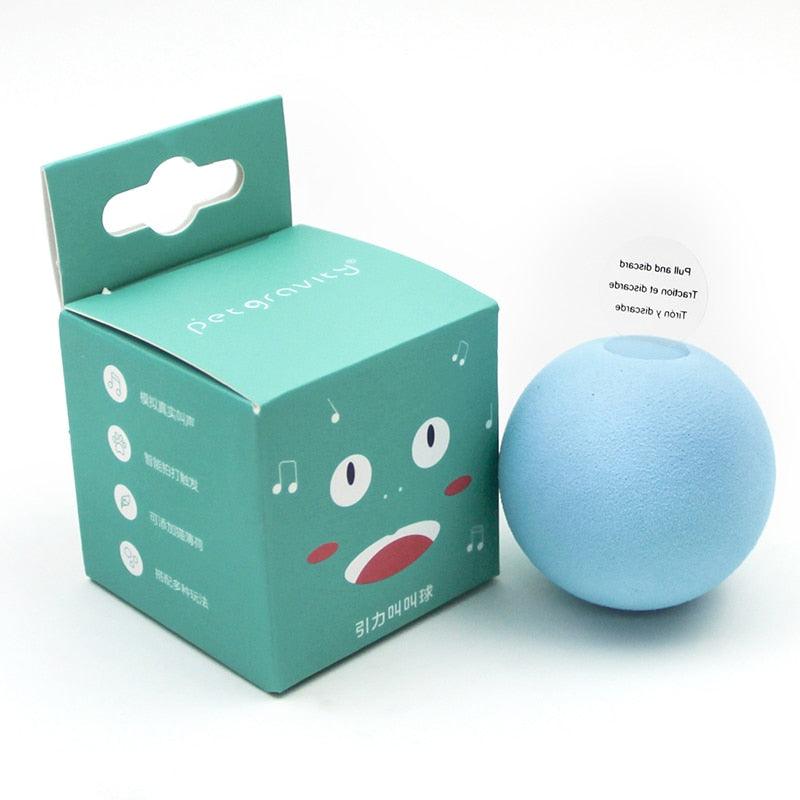 Stevvex gravity ball cat toy blue textured ball with teal packaging box on Tampa Home & Garden Store
