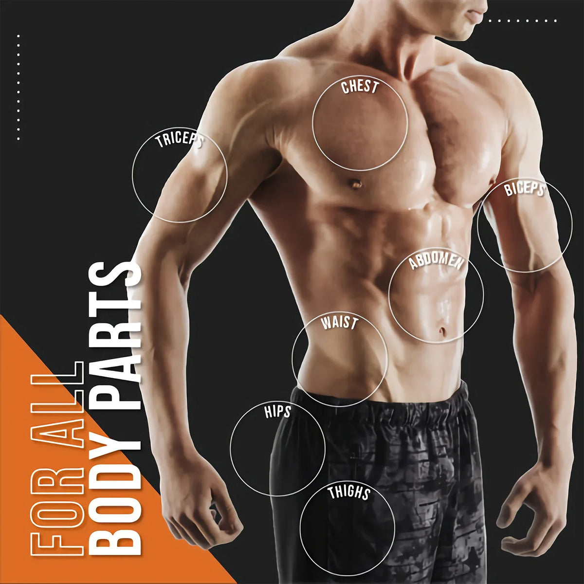 Abdominal muscle cream Silcy Skin on a model with labeled chest abs arms hips thighs on Tampa Home & Garden Store
