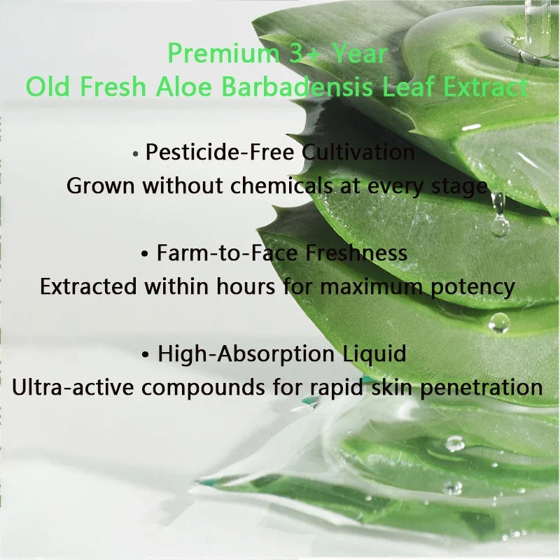Aloe vera leaf with water droplets, skin care promo overlay text on Tampa Home & Garden Store