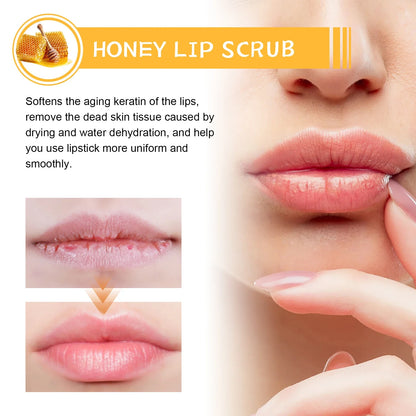 Honey Lip Scrub exfoliator for dry lips by Silcy Skin with honey formula on Tampa Home & Garden Store