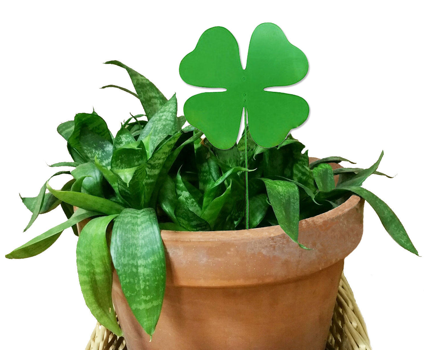 Shamrock plant stake ornament, green, in a terracotta pot with lush leafy plant on Tampa Home & Garden Store