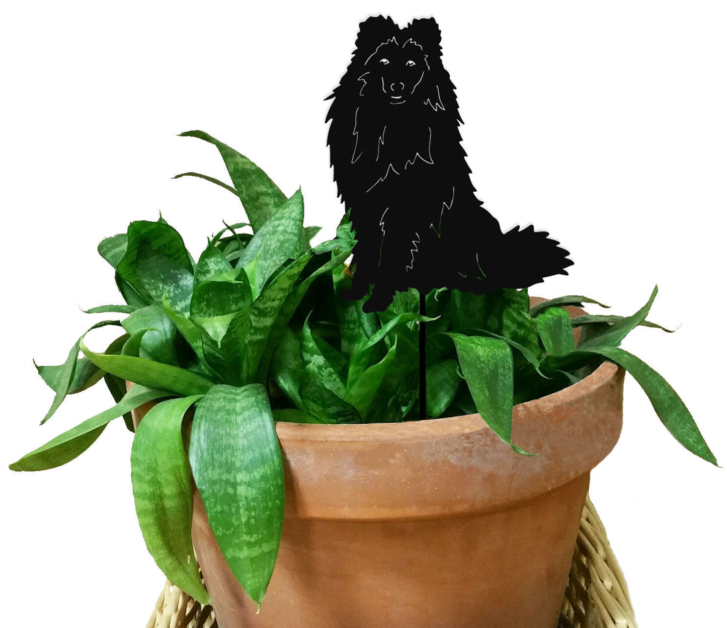 Shetland Sheepdog plant stake, black silhouette metal garden decor by Rustica Ornamentals on Tampa Home & Garden Store