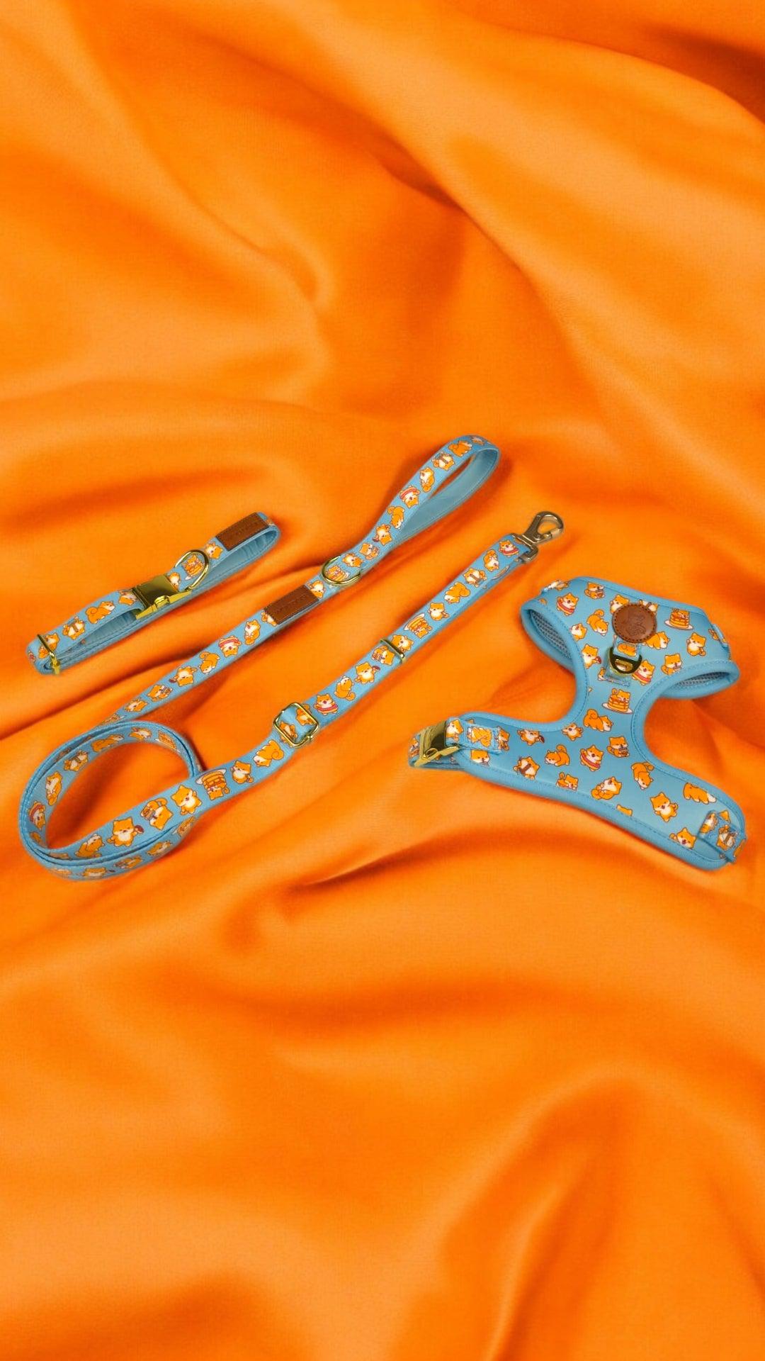 Shiba Mania Harness - Tampa Home & Garden Store