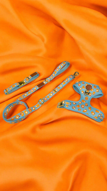 Shiba Mania Leash - Tampa Home & Garden Store