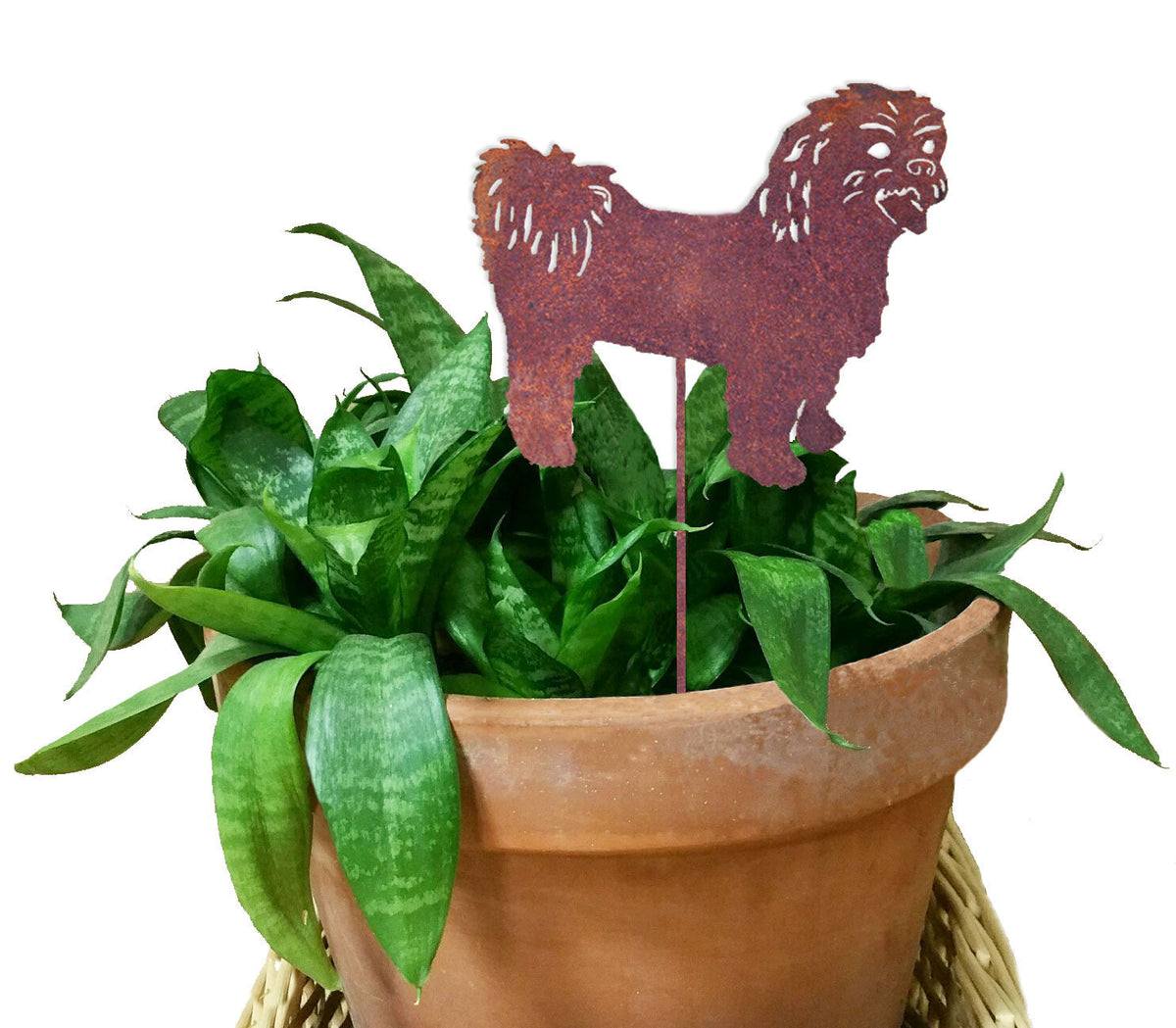 Shih Tzu plant stake by Rustica Ornamentals in rusty metal, in a terracotta pot with snake plant on Tampa Home & Garden Store