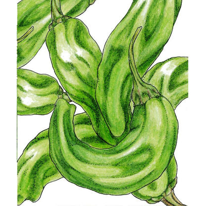 Shishito Pepper Seeds (Organic) - Tampa Home & Garden Store