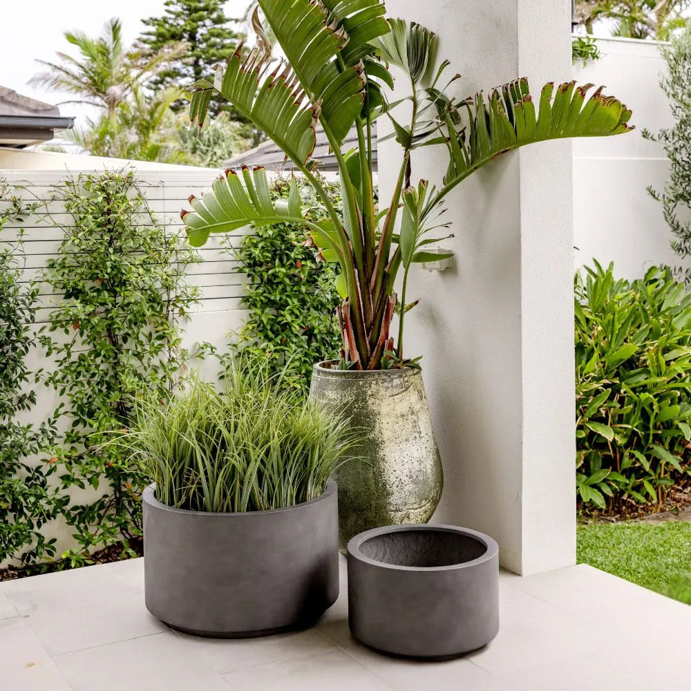 The Shoob Cylindrical Planter | Modern Round Sculpture Pot
