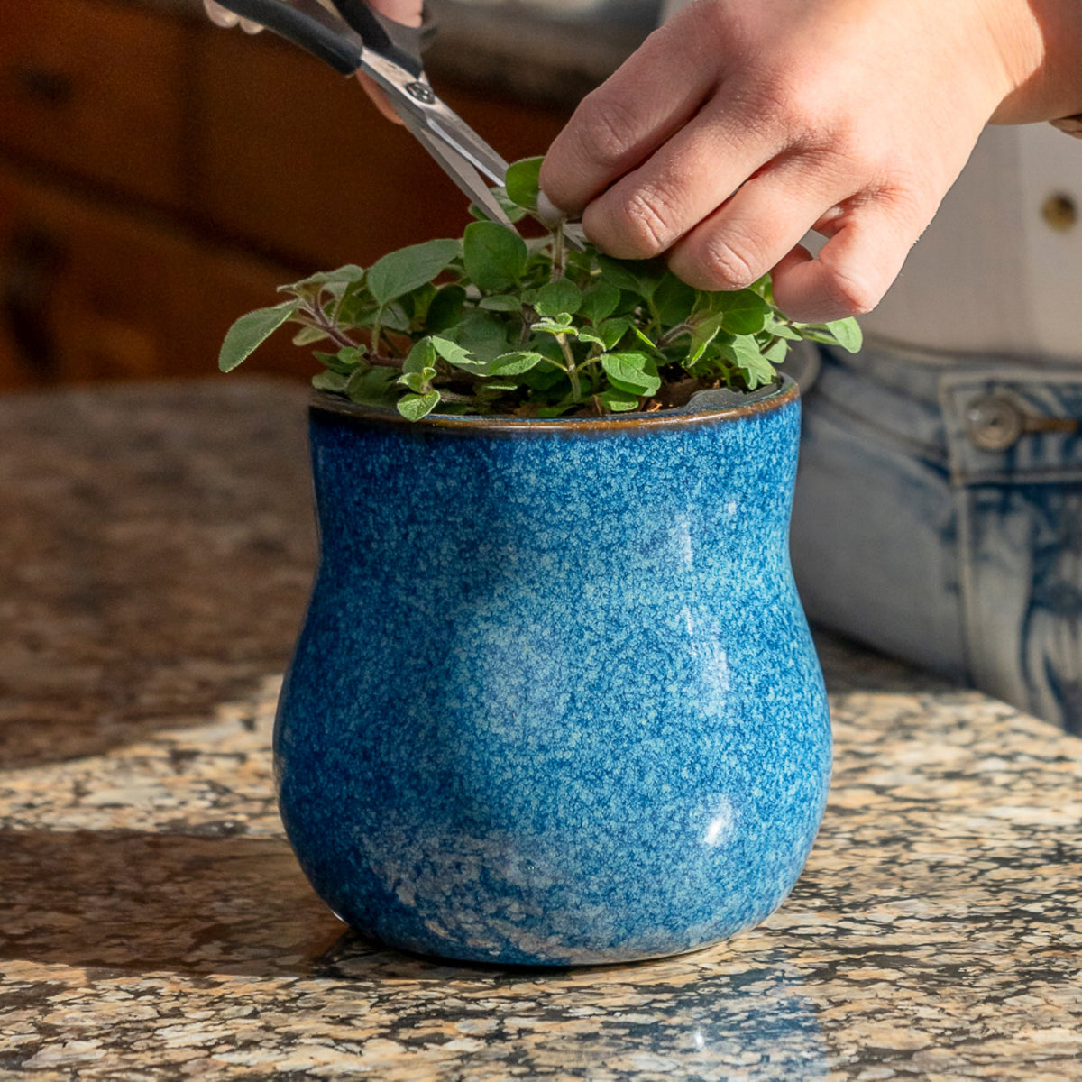 Ceramic Plant Pot with Rubber Liner River Blue, blue speckled indoor pot with a plant on Tampa Home & Garden Store