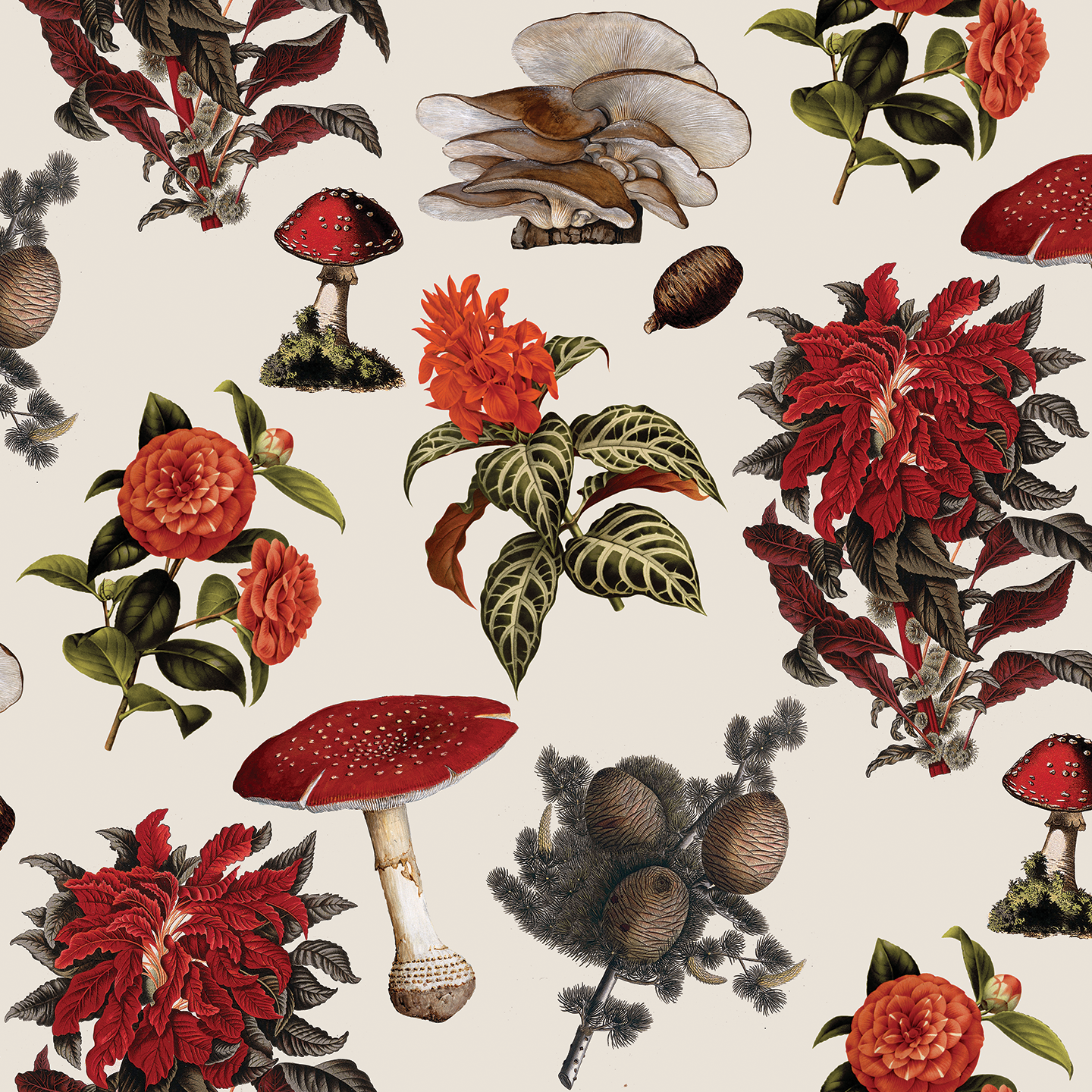 Shrooms Wallpaper, off-white and red - Tampa Home & Garden Store
