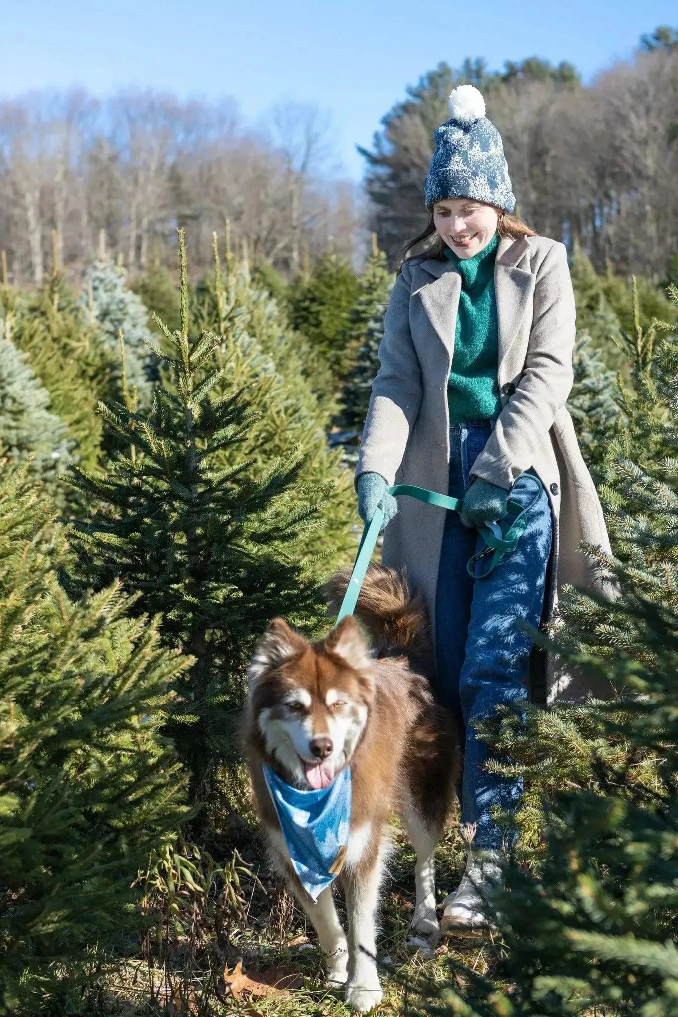 Siberian Spruce Dog Bandana & Matching Keychain - Tampa Home & Garden Store