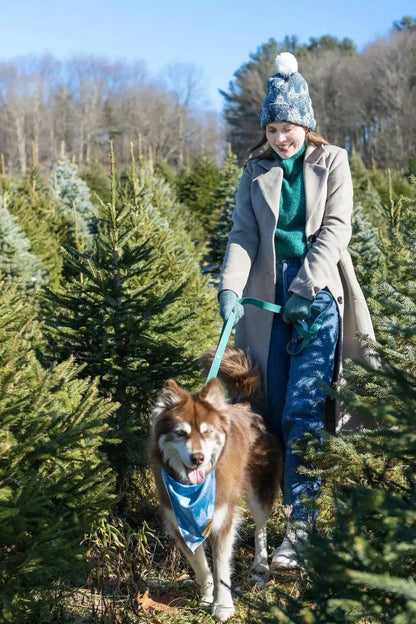 Siberian Spruce Dog Bandana & Matching Keychain - Tampa Home & Garden Store