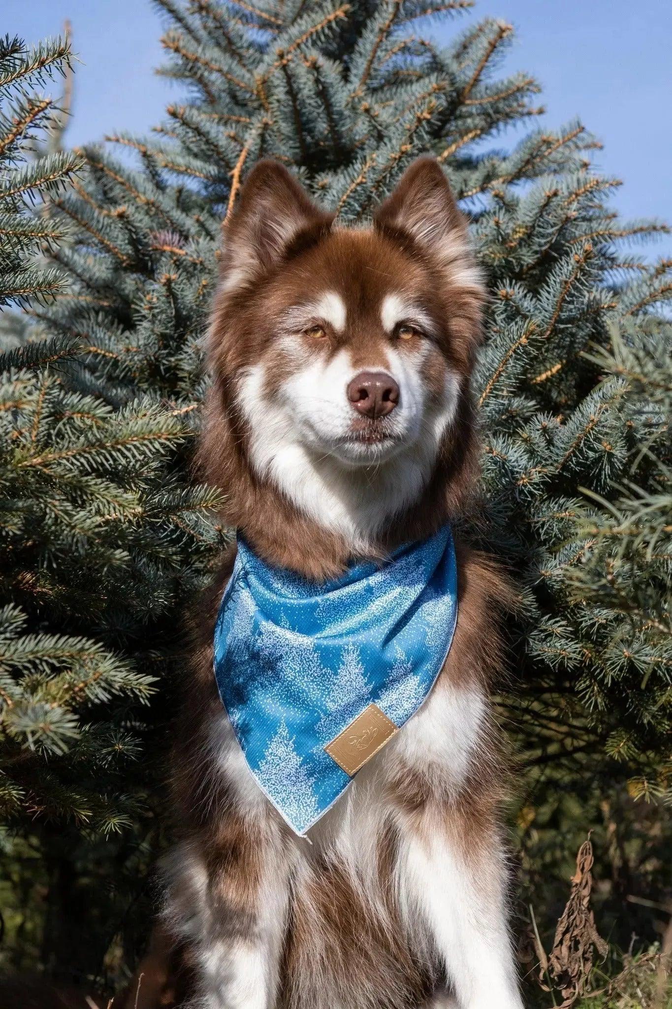 Siberian Spruce Dog Bandana - Tampa Home & Garden Store