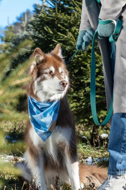 Siberian Spruce Dog Bandana - Tampa Home & Garden Store