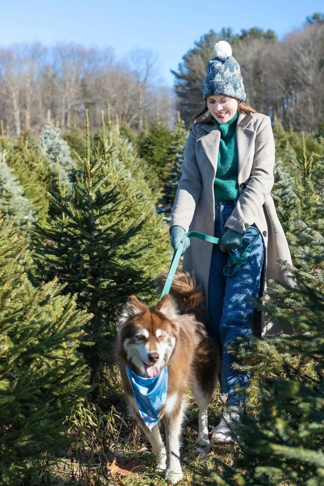 Siberian Spruce Dog Bandana - Tampa Home & Garden Store