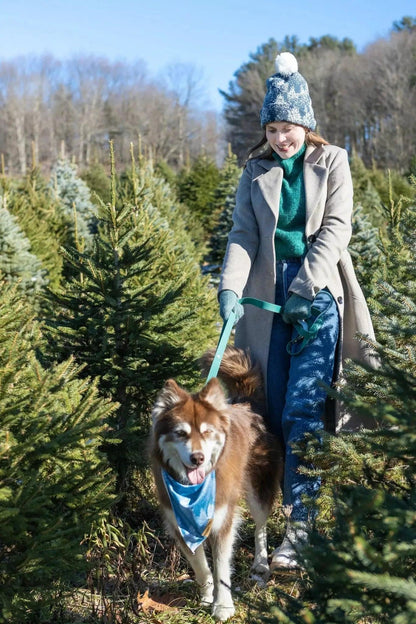 Siberian Spruce Dog Bandana - Tampa Home & Garden Store