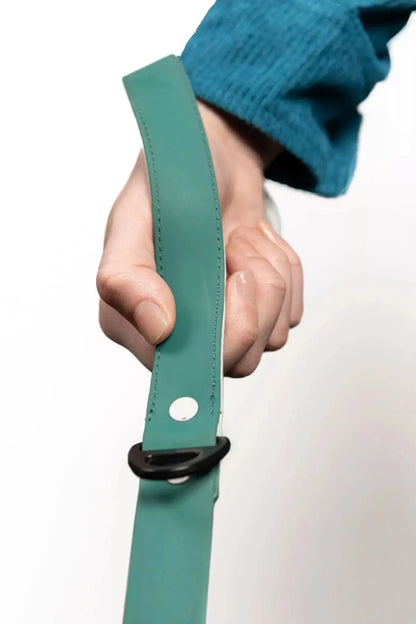 Siberian Spruce Waterproof Dog Leash - Tampa Home & Garden Store