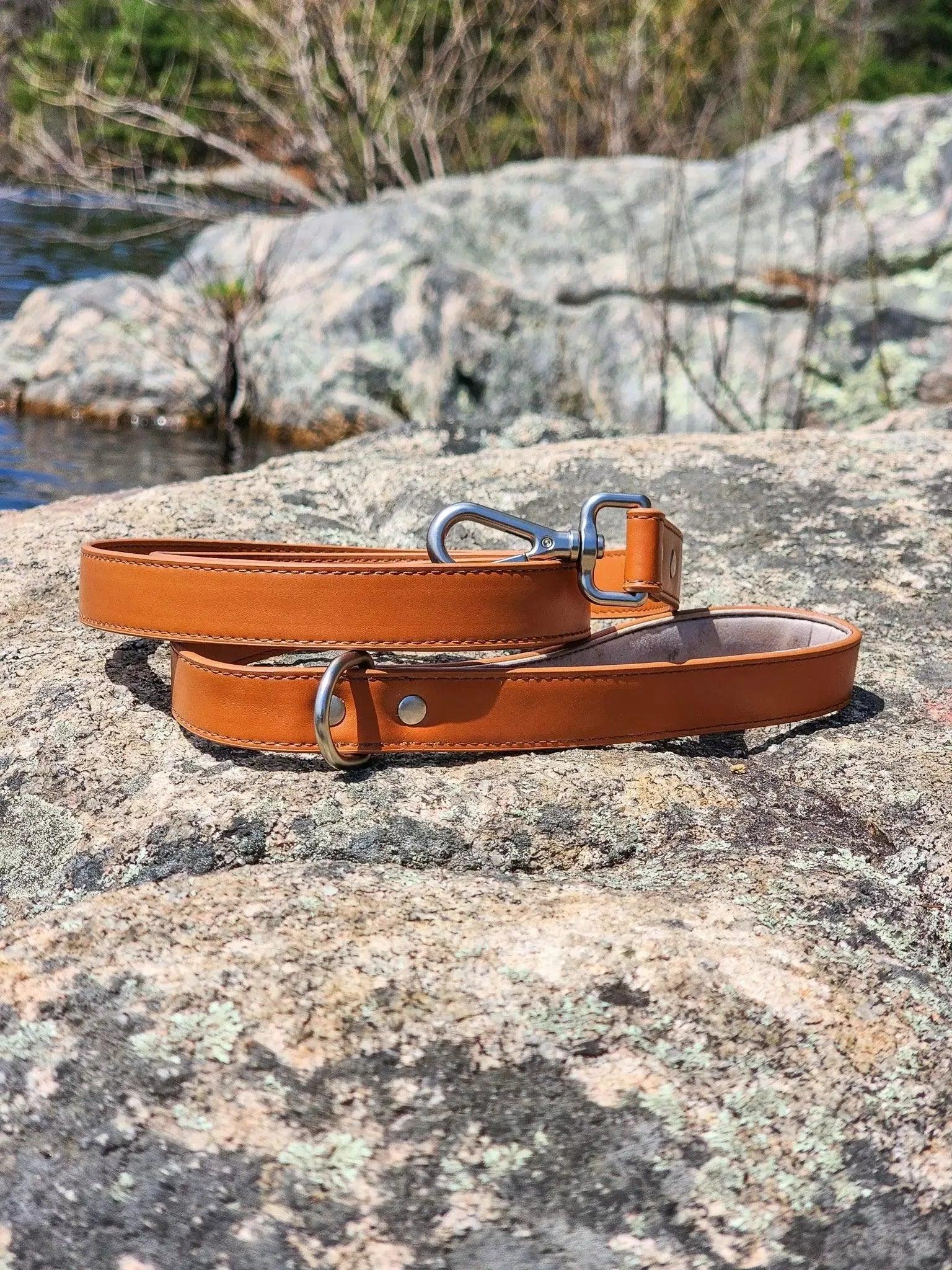 Sierra Sunrise Vegan Leather Dog Leash - Tampa Home & Garden Store