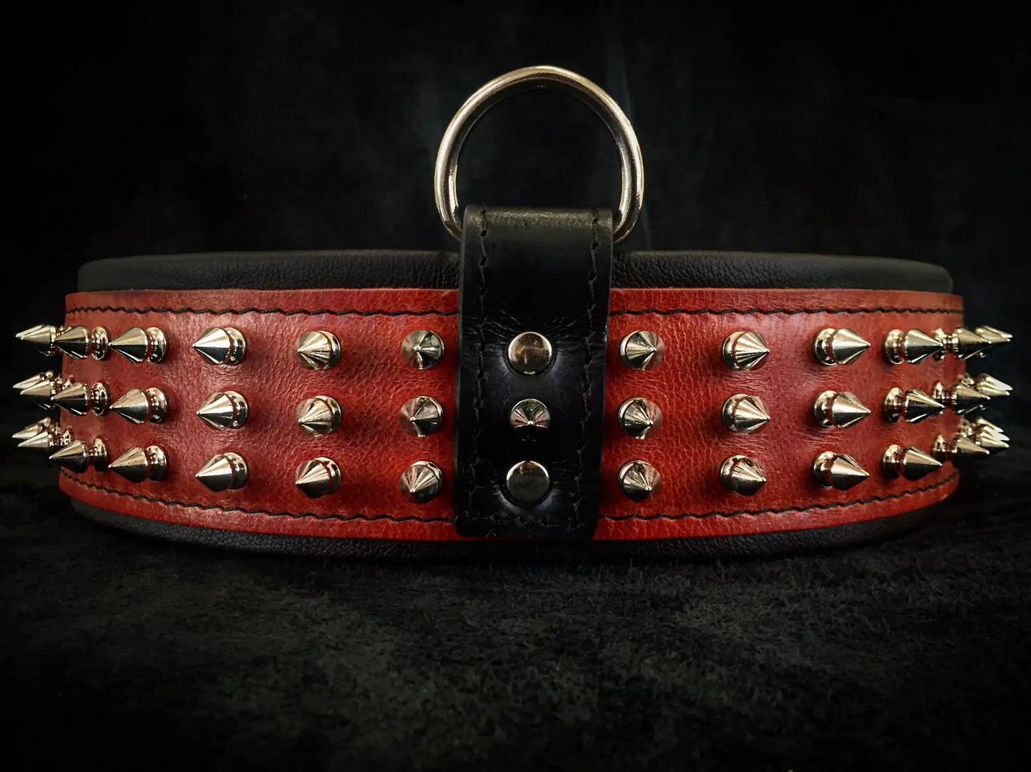 "Silver Giant" collar Red - Tampa Home & Garden Store