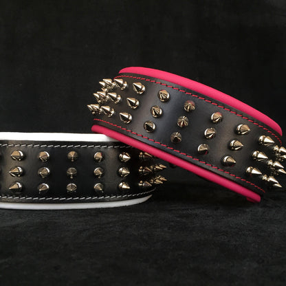 "Silver Giant" collar - Tampa Home & Garden Store