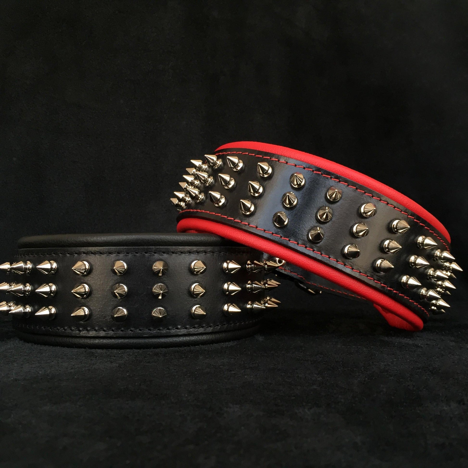 "Silver Giant" collar - Tampa Home & Garden Store