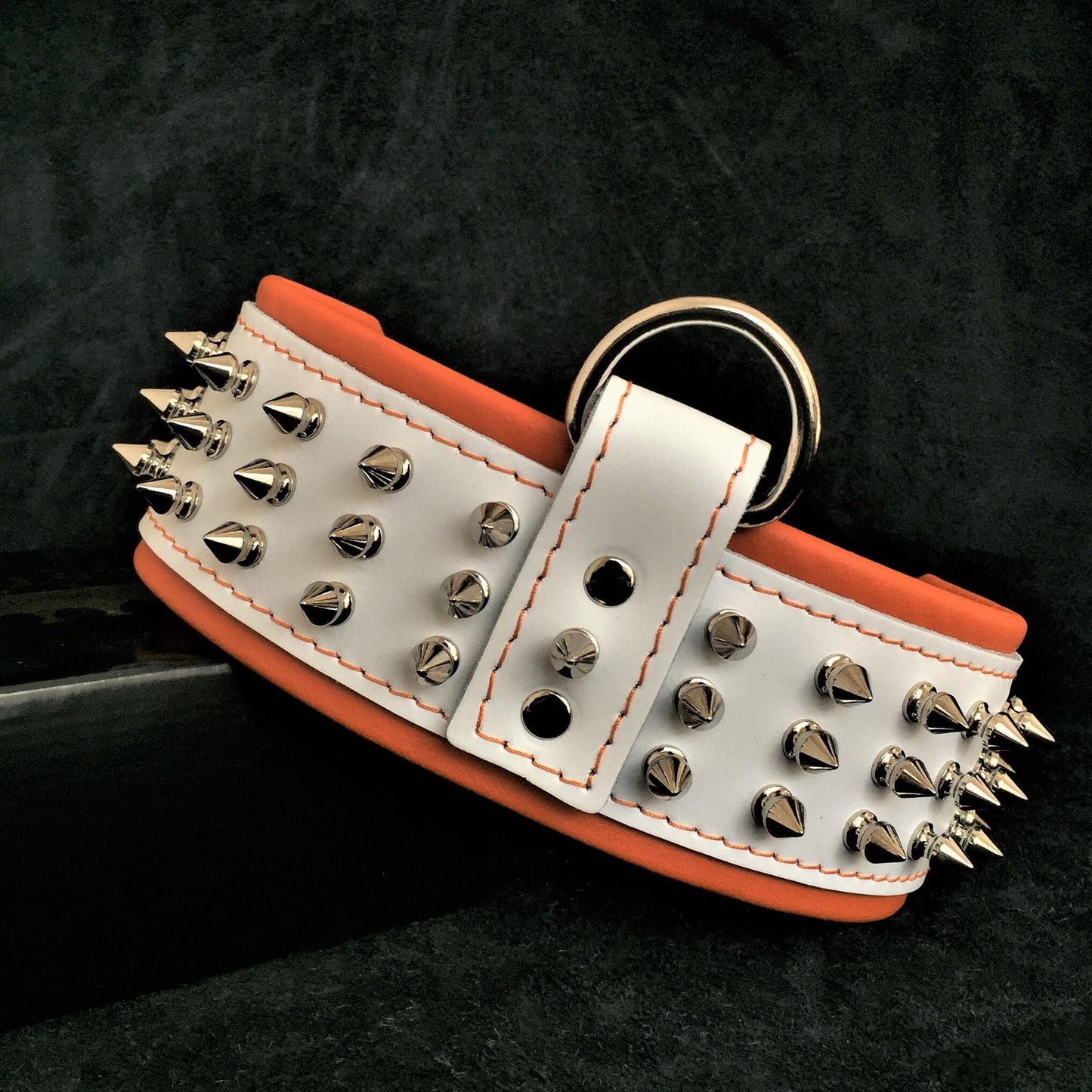 "Silver Giant" collar White - Tampa Home & Garden Store