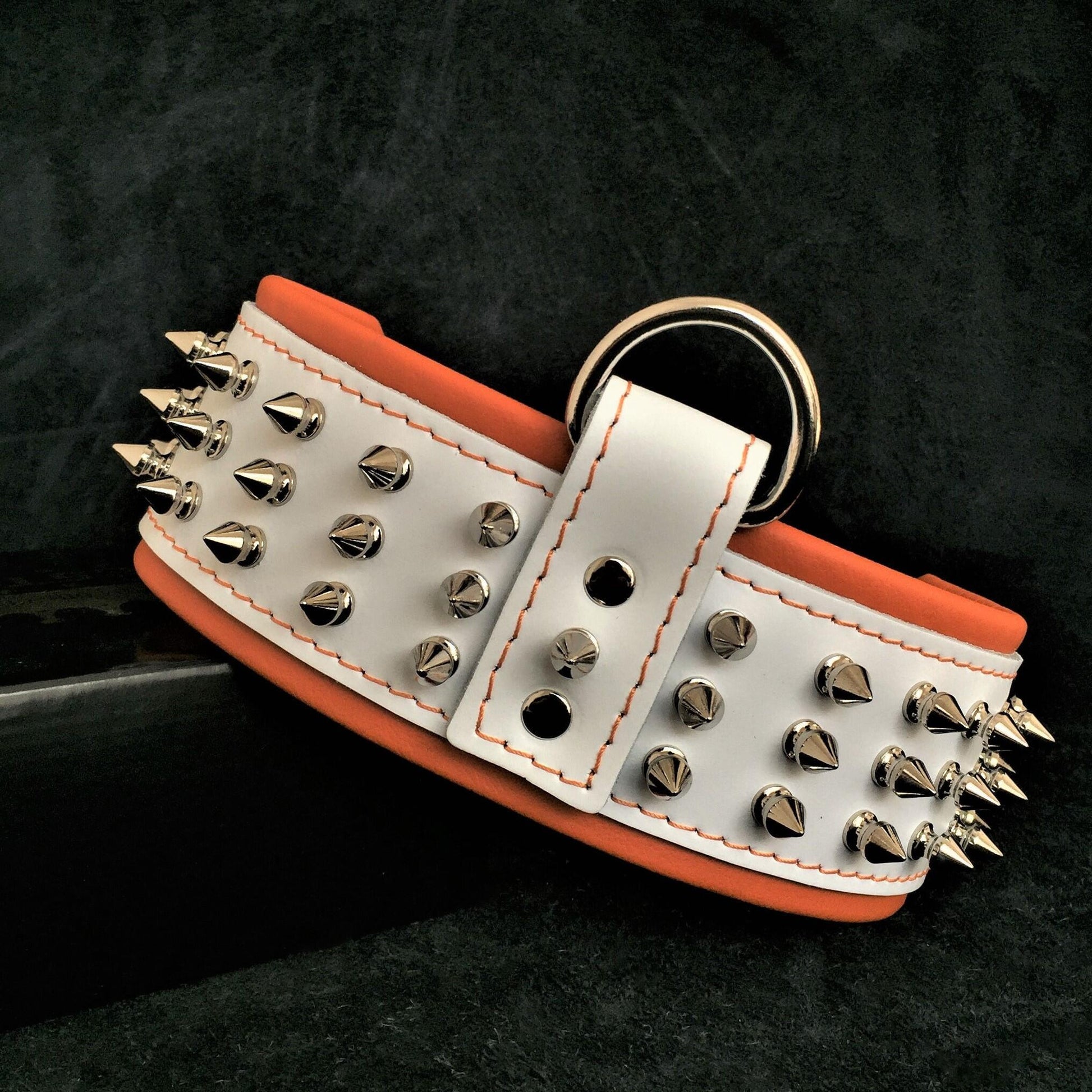 "Silver Giant" collar White - Tampa Home & Garden Store