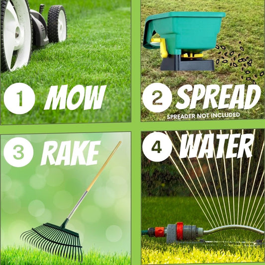 Micro Clover + Mow Less Grass Seed by Flawn Seed Kits 4step lawn with mower rake sprinkler on Tampa Home & Garden Store