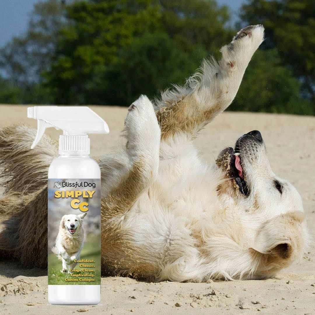 Simply CC Dog Cologne for the Classically Confident Canine - Tampa Home & Garden Store