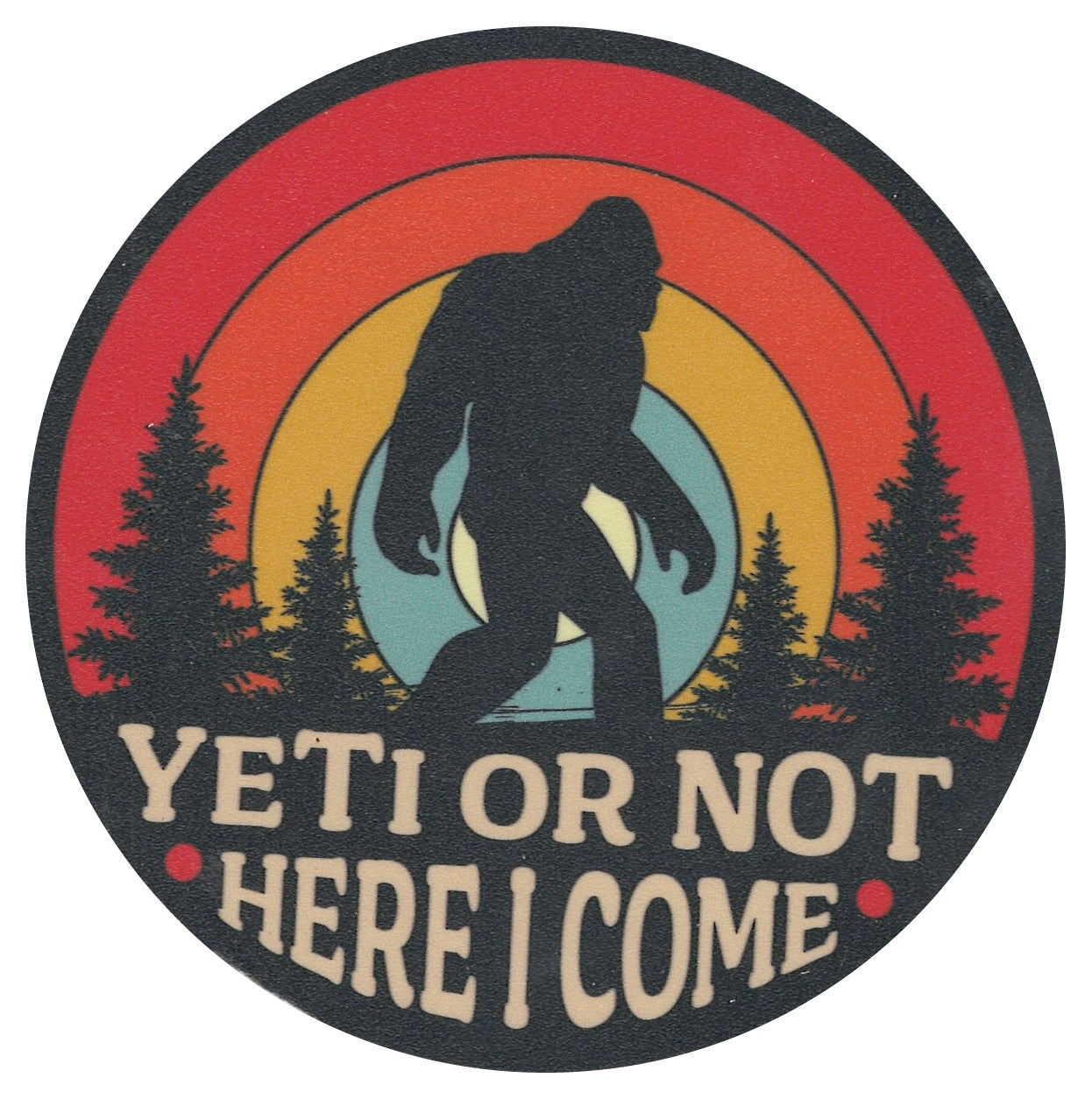 Sip Sip Hooray Coaster -  Yeti or Not - Here I Come - Tampa Home & Garden Store