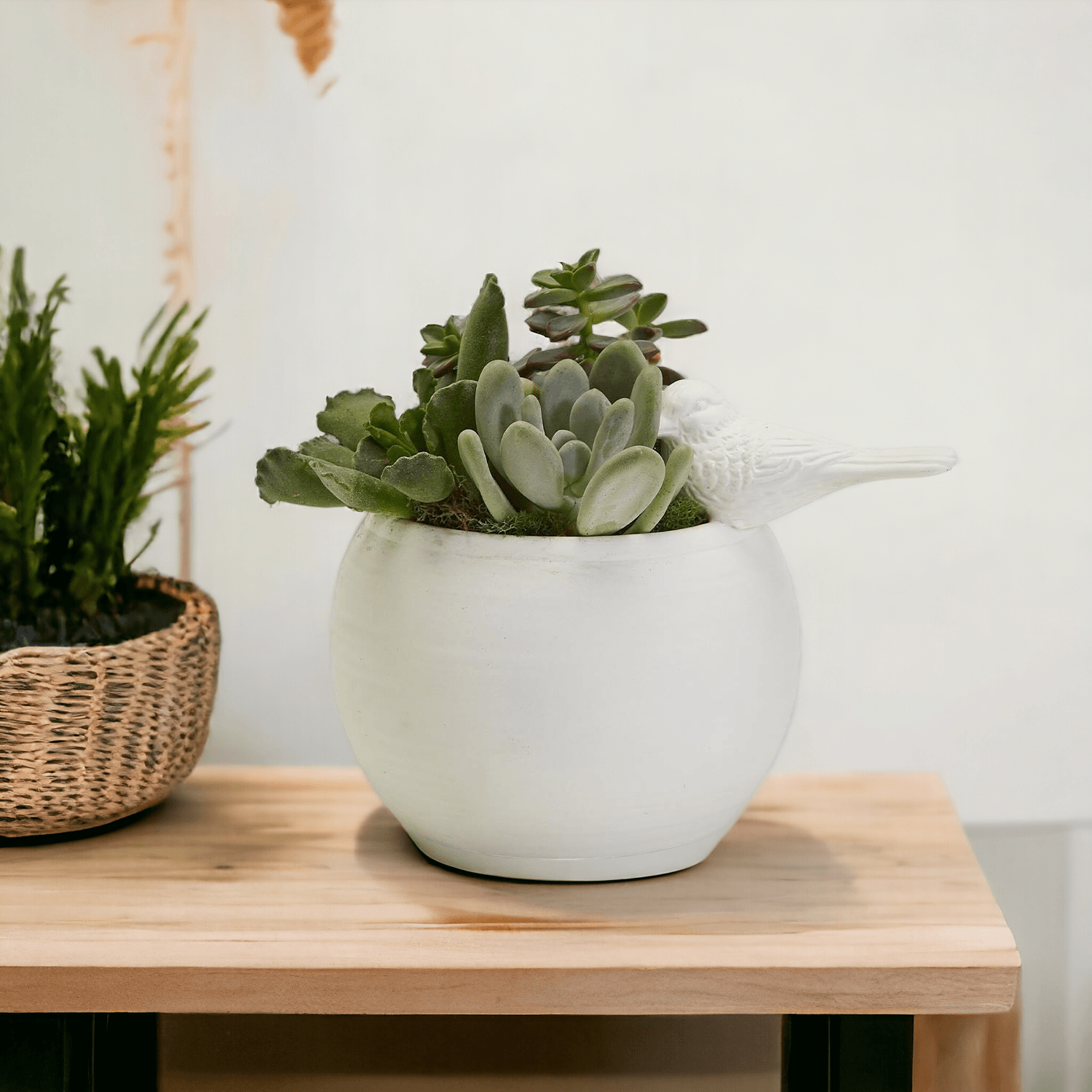Sitting Pretty Vase - Tampa Home & Garden Store