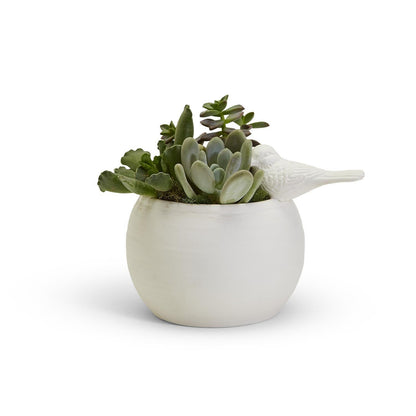 Sitting Pretty Vase - Tampa Home & Garden Store